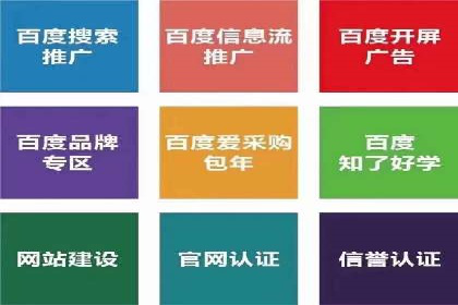 成功案例揭秘：sem代运营公司的策略与技巧